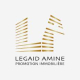 le-gaid-amine